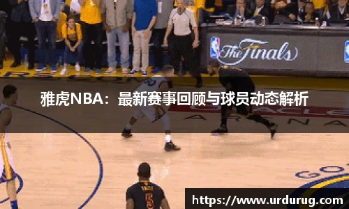 智博19有限公司